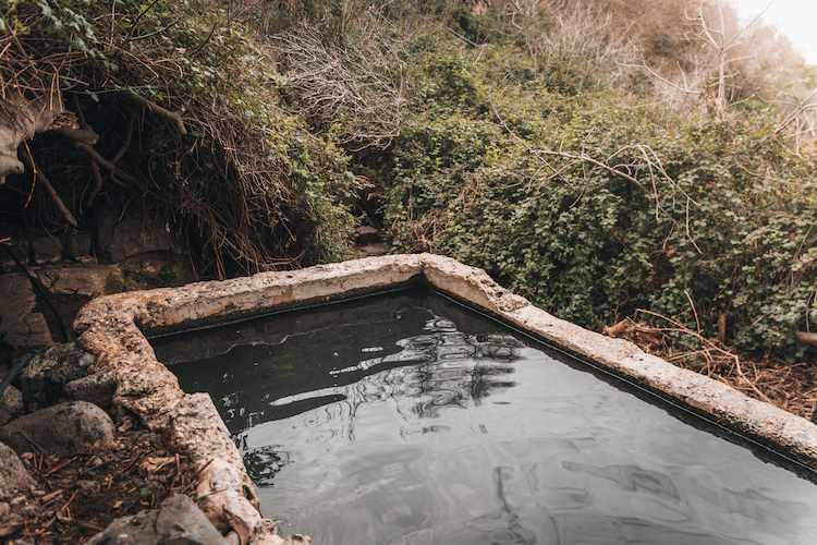 Natural springs & pools