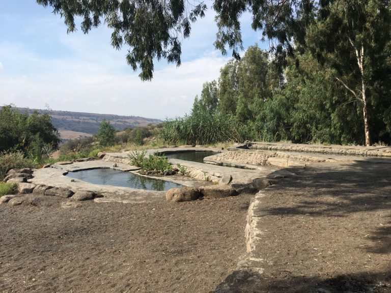 עין כנף - צילום: שיר בהר
